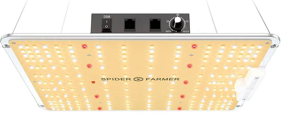 Elaborate Grow Light Setup