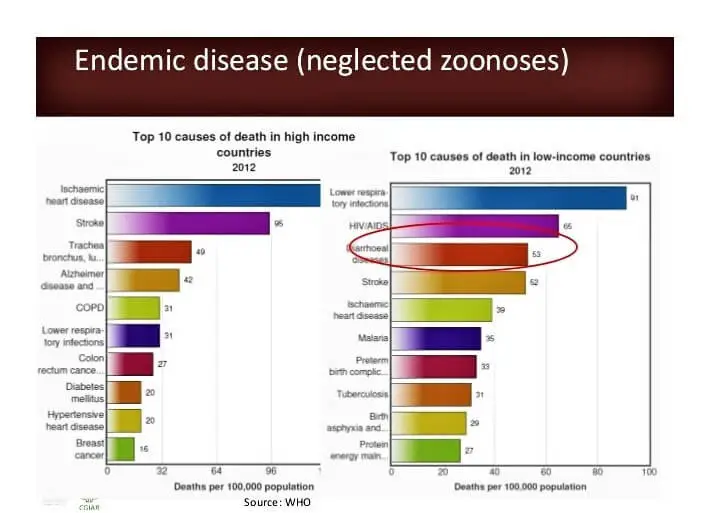 Endemic Disease Analysis