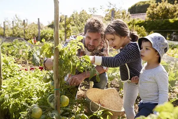 Father and Children Gardening