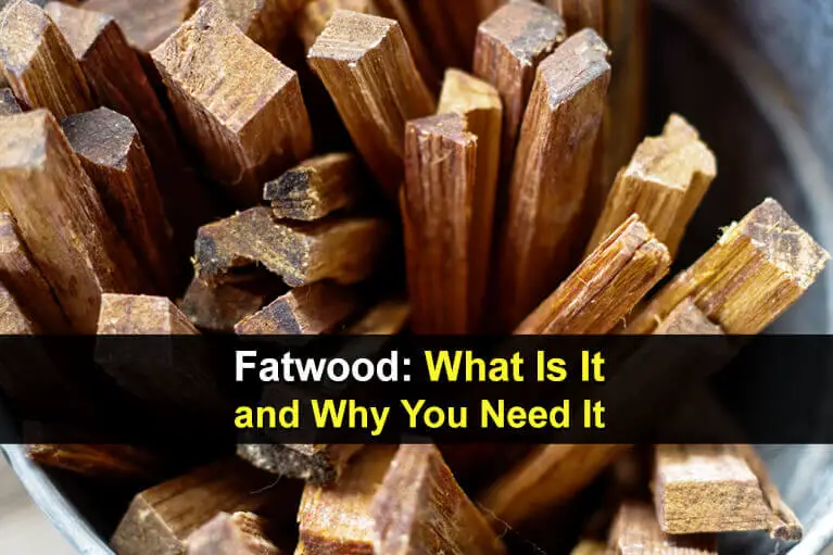 Fatwood: What Is It and Why You Need It