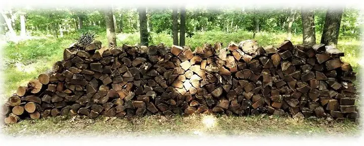 Firewood