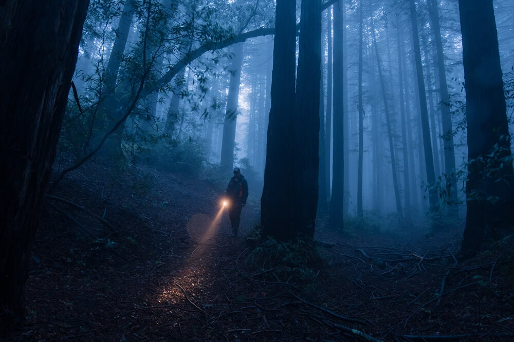 Flashlight in the Dark