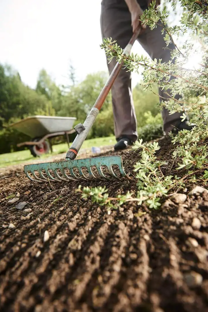 Gardening Rake Tilling Soil