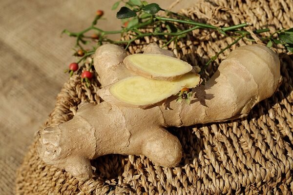 Ginger | Lost Remedies