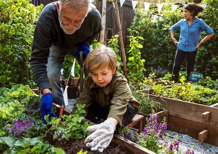 Grandfather and Grandson Working in the Garden