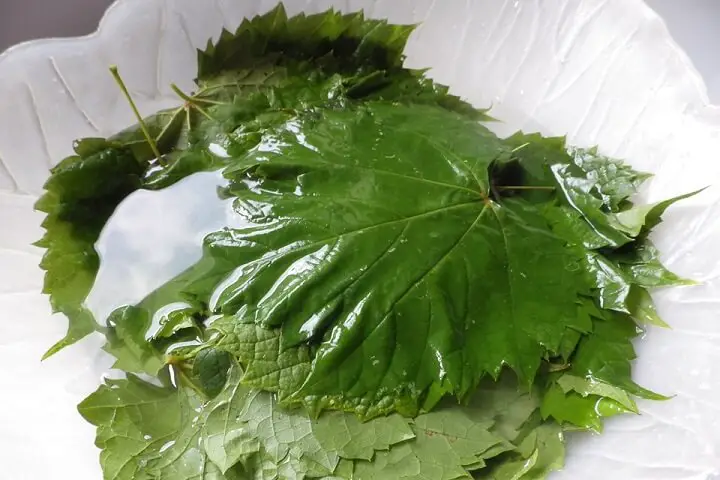 Grape Leaf Prep