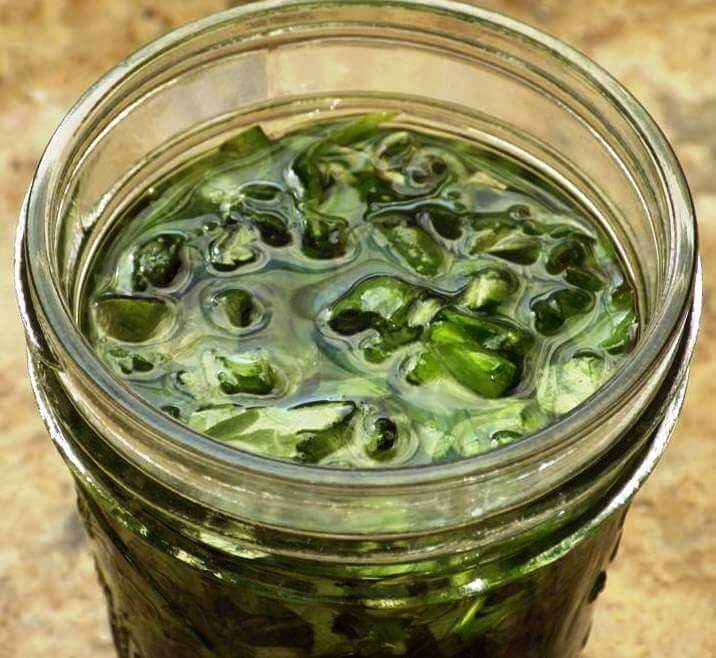 Herbs in Oil in Jar