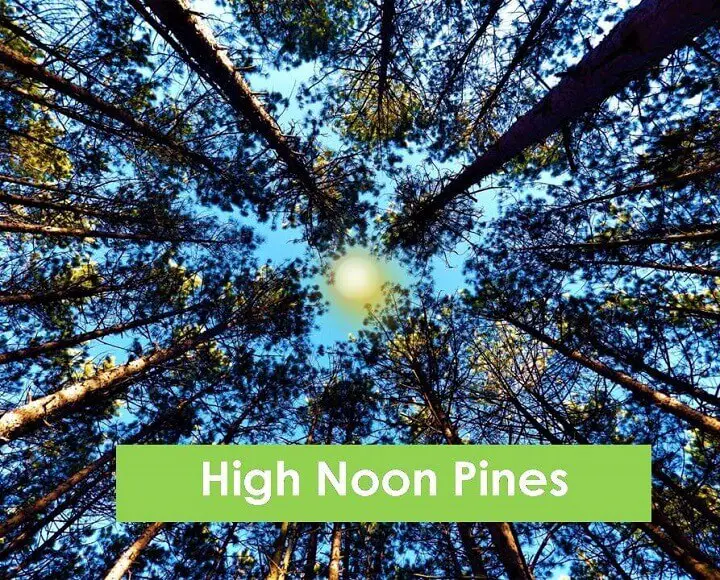 High Noon Pines