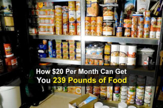 How $20 Per Month Can Get You 239 Pounds of Food