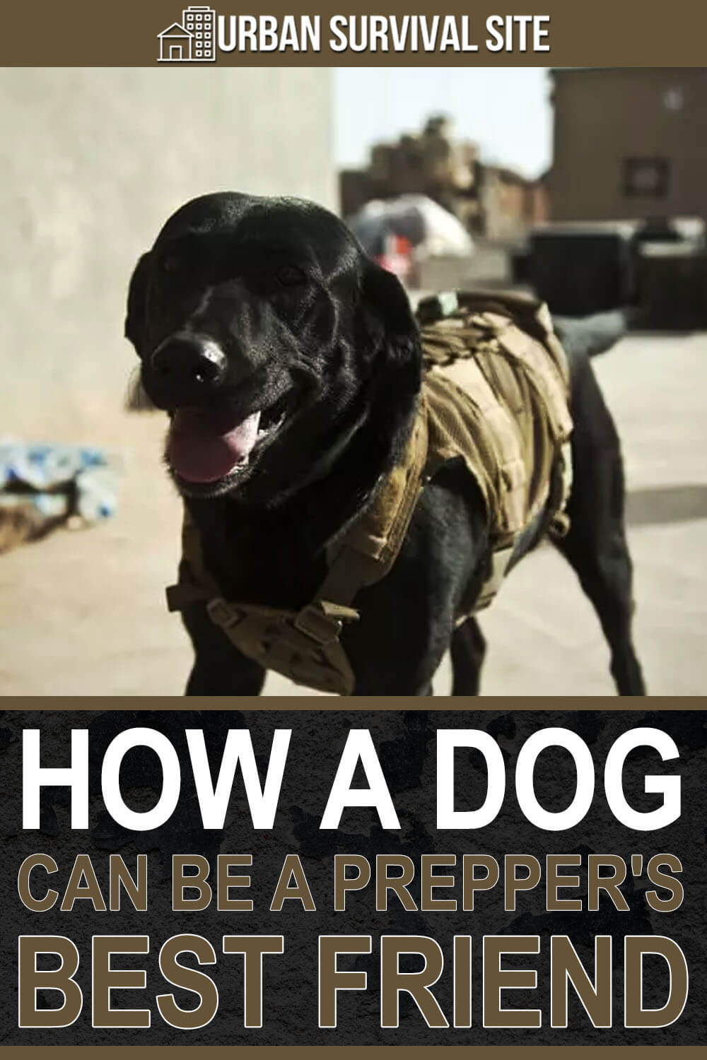 How a Dog Can Be a Prepper's Best Friend