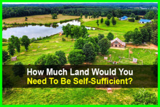 How Much Land Would You Need To Be Self-Sufficient?