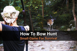 How to Bow Hunt Small Game for Survival