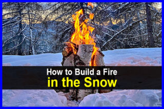 How to Build a Fire in the Snow