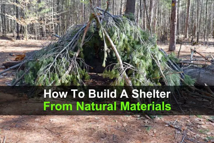 How to Build a Shelter from Natural Materials