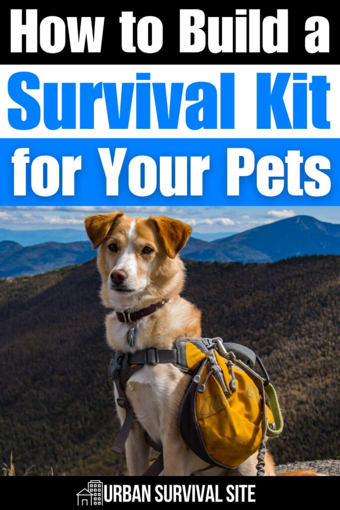 How to Build a Survival Kit for Your Pets