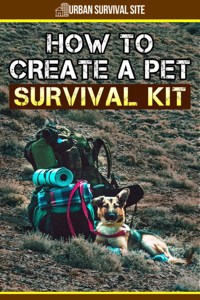 How to Create a Pet Survival Kit