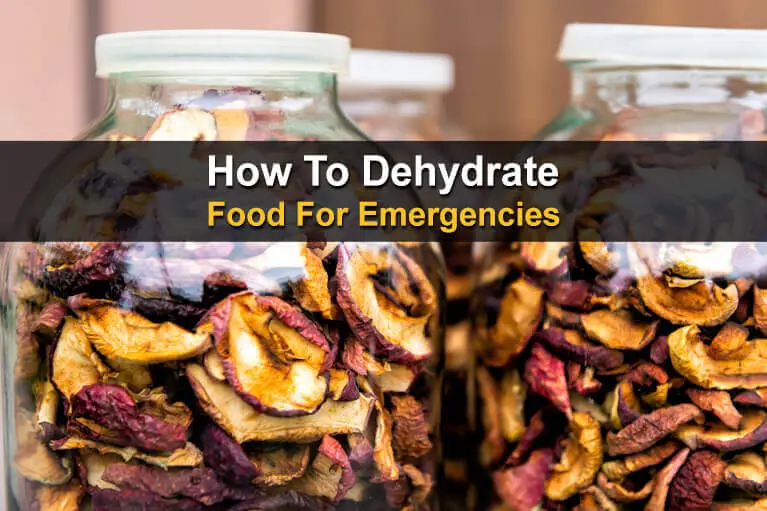 How to Dehydrate Food for Emergencies