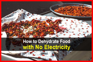 How to Dehydrate Food with No Electricity