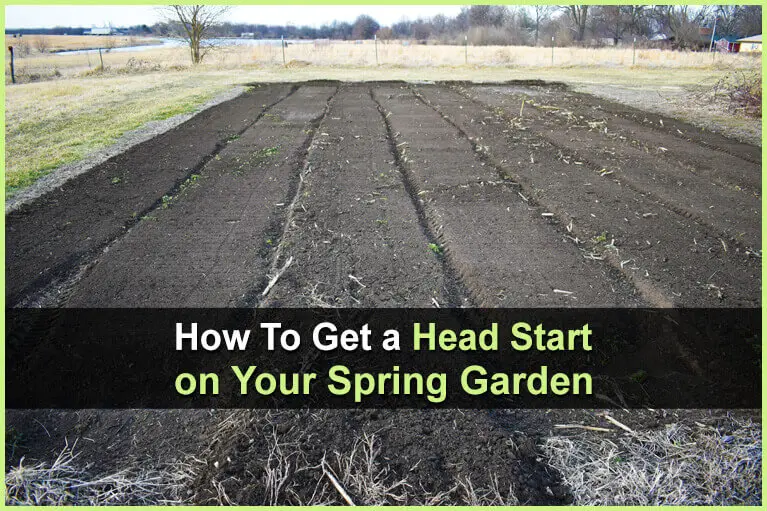 How To Get a Head Start On Your Spring Garden