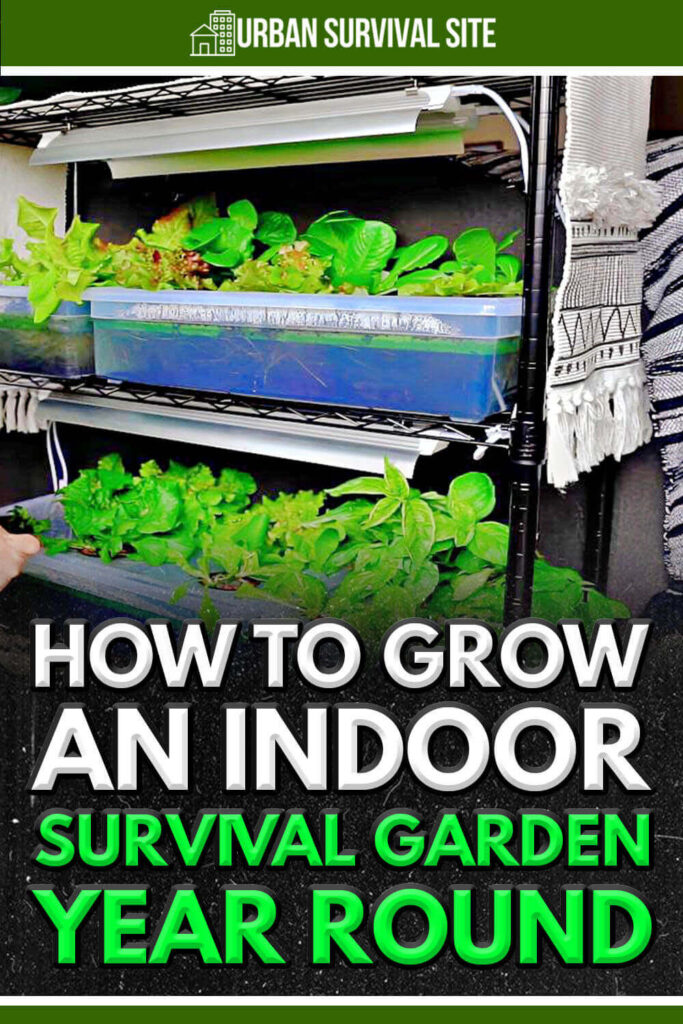 How to Grow an Indoor Survival Garden Year Round