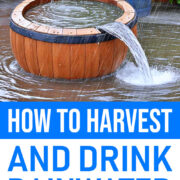 Pinterest Hidden Image