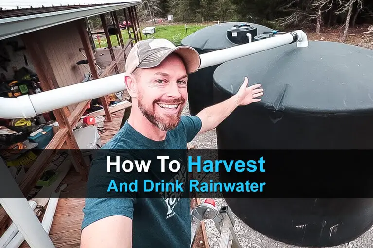 How To Harvest And Drink Rainwater
