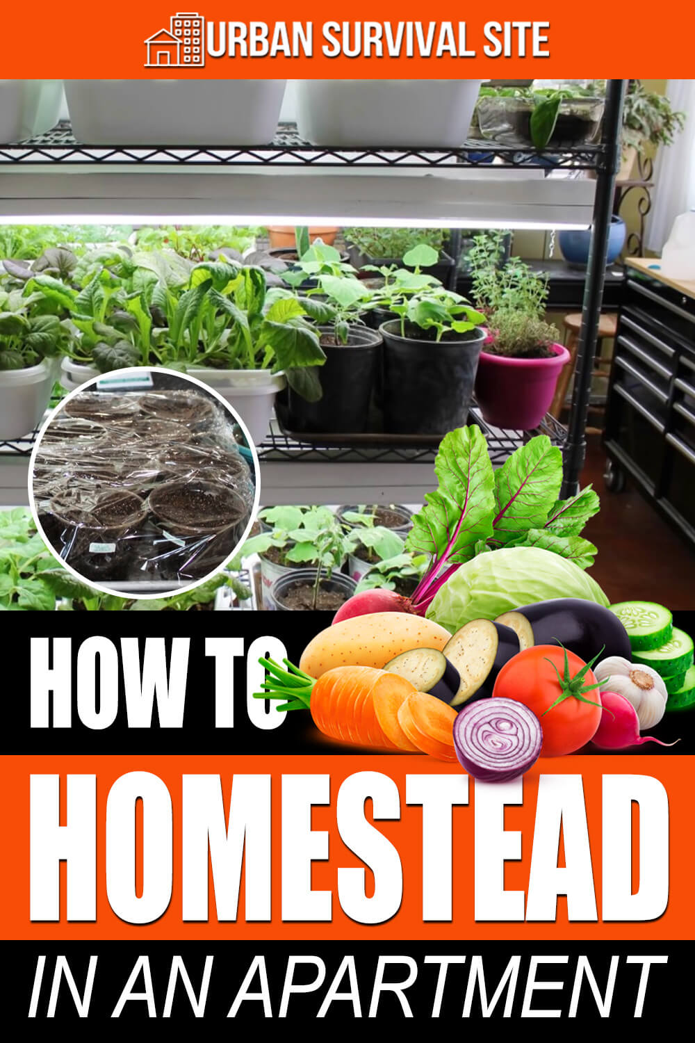 View of How To Homestead In An Apartment
