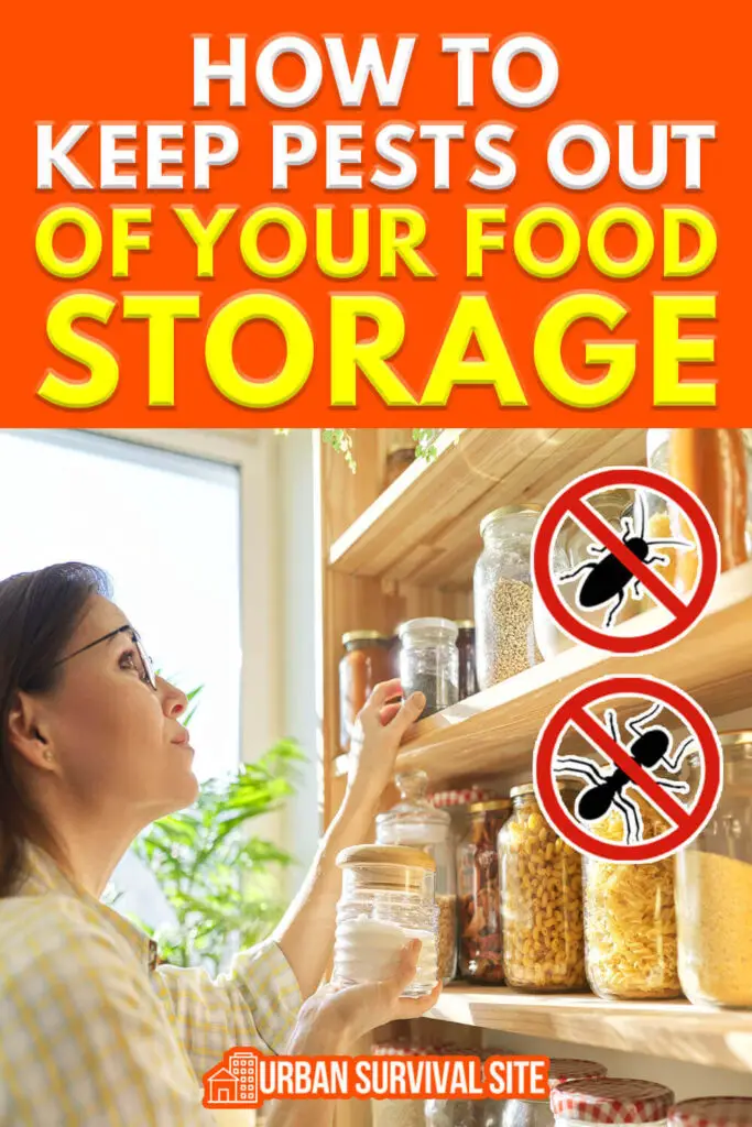 How to Keep Pests Out of Your Food Storage