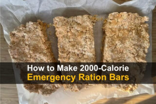 How to Make 2000-Calorie Emergency Ration Bars