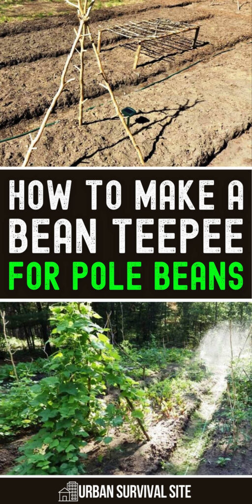 How to Make a Bean Teepee for Pole Beans