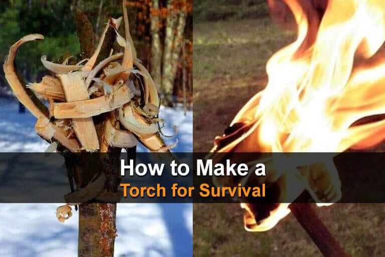 How To Make A Torch For Survival
