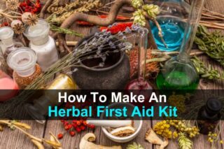 How to Make an Herbal First Aid Kit