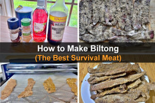 How to Make Biltong (The Best Survival Meat)