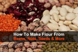 How to Make Flour from Beans, Nuts, Seeds, and More
