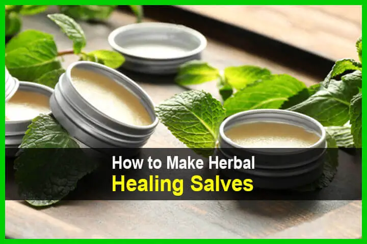 How to Make Herbal Healing Salves