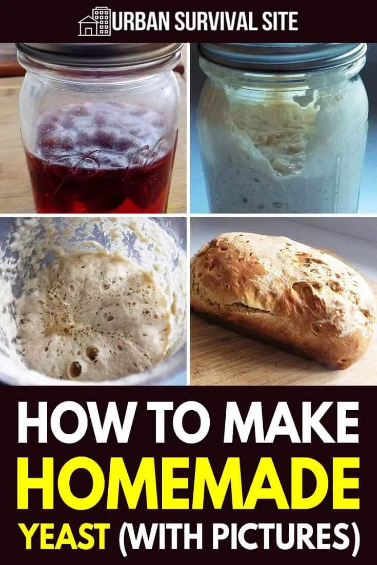 How To Make Homemade Yeast (With Pictures) Urban Survival Site