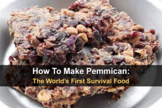 How To Make Pemmican: The World's First Survival Food