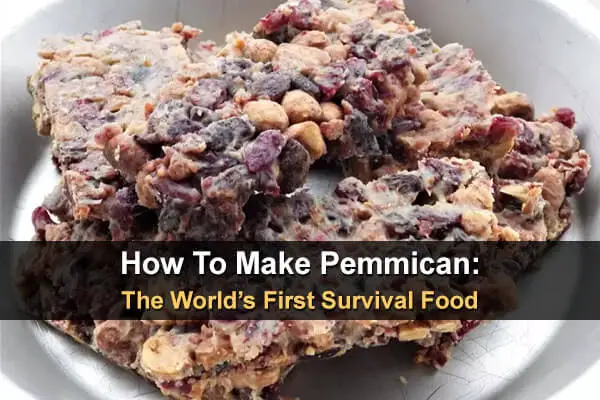 How To Make Pemmican The World S First Survival Food