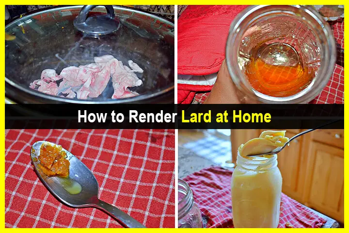 How to Render Lard At Home | Urban Survival Site