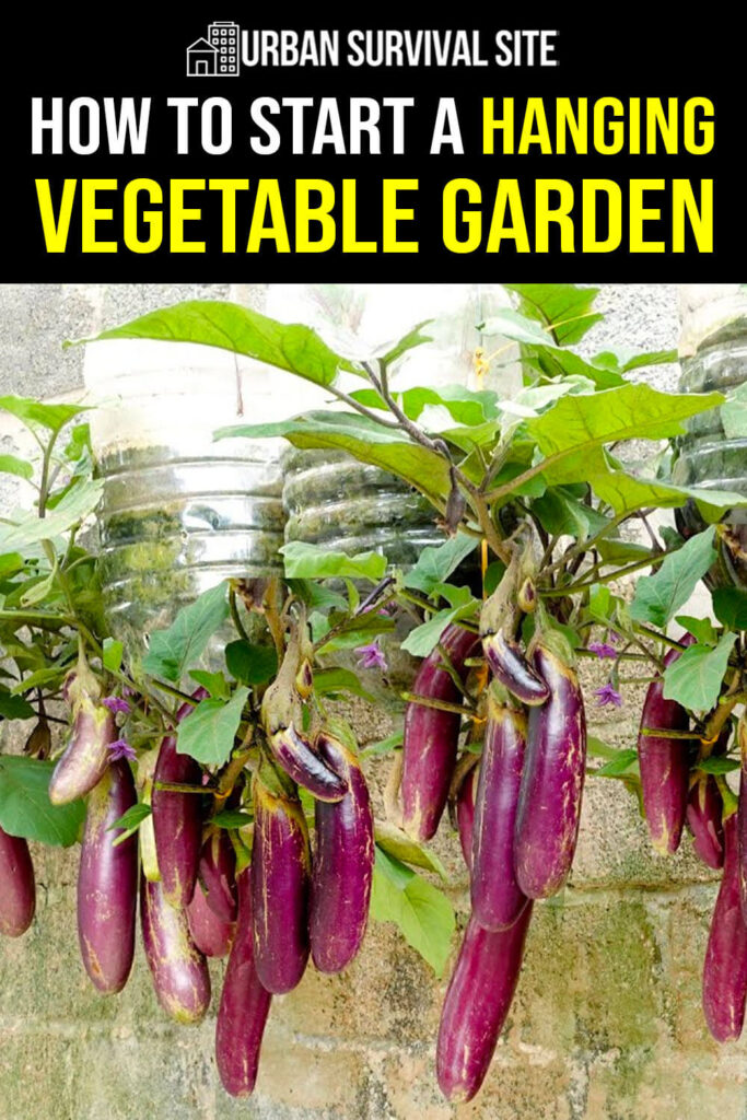 How to Start a Hanging Vegetable Garden