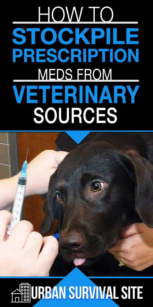 How to Stockpile Prescription Meds from Veterinary Sources