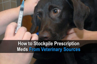 How to Stockpile Prescription Meds from Veterinary Sources