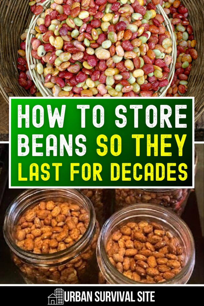 How to Store Beans So They Last for Decades