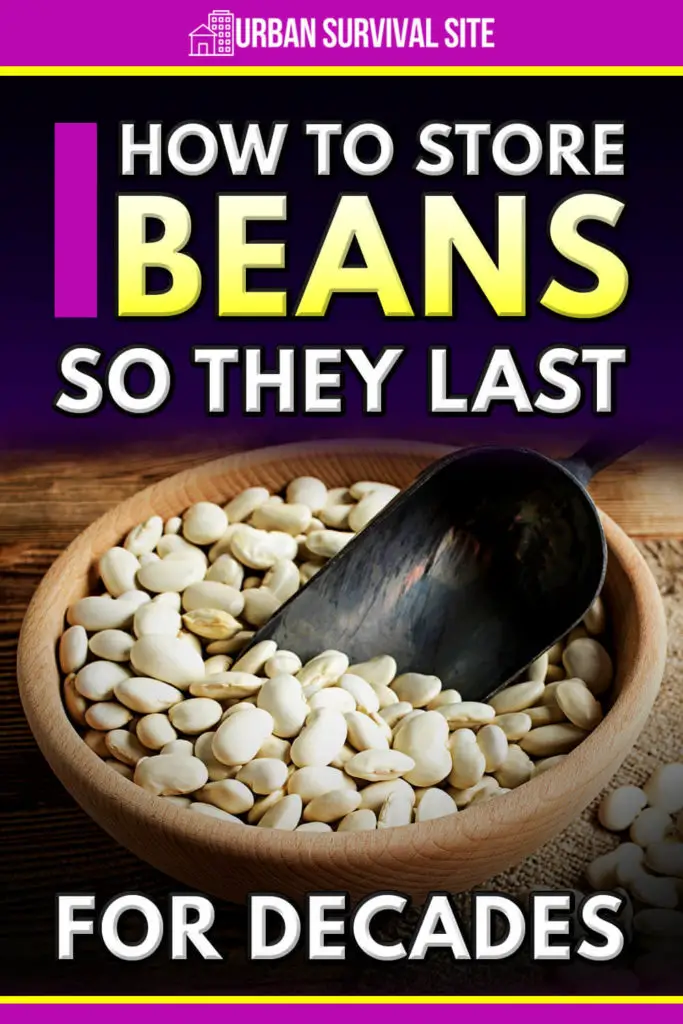 How to Store Beans So They Last for Decades