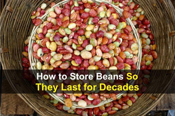 How to Store Beans So They Last for Decades How to Store Beans So They Last for Decades
