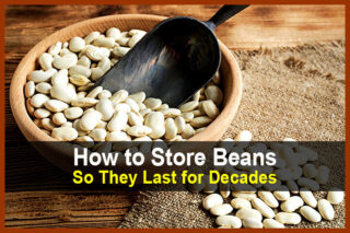 How to Store Beans So They Last for Decades