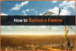How to Survive a Famine