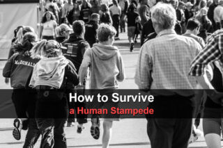 How to Survive a Human Stampede