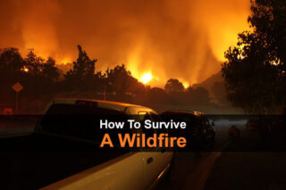 How To Survive A Wildfire