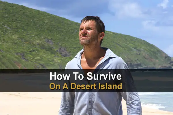 How To Survive On A Desert Island